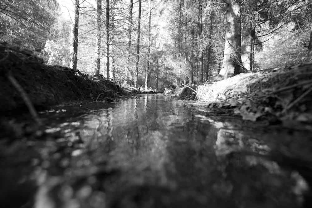 Creek