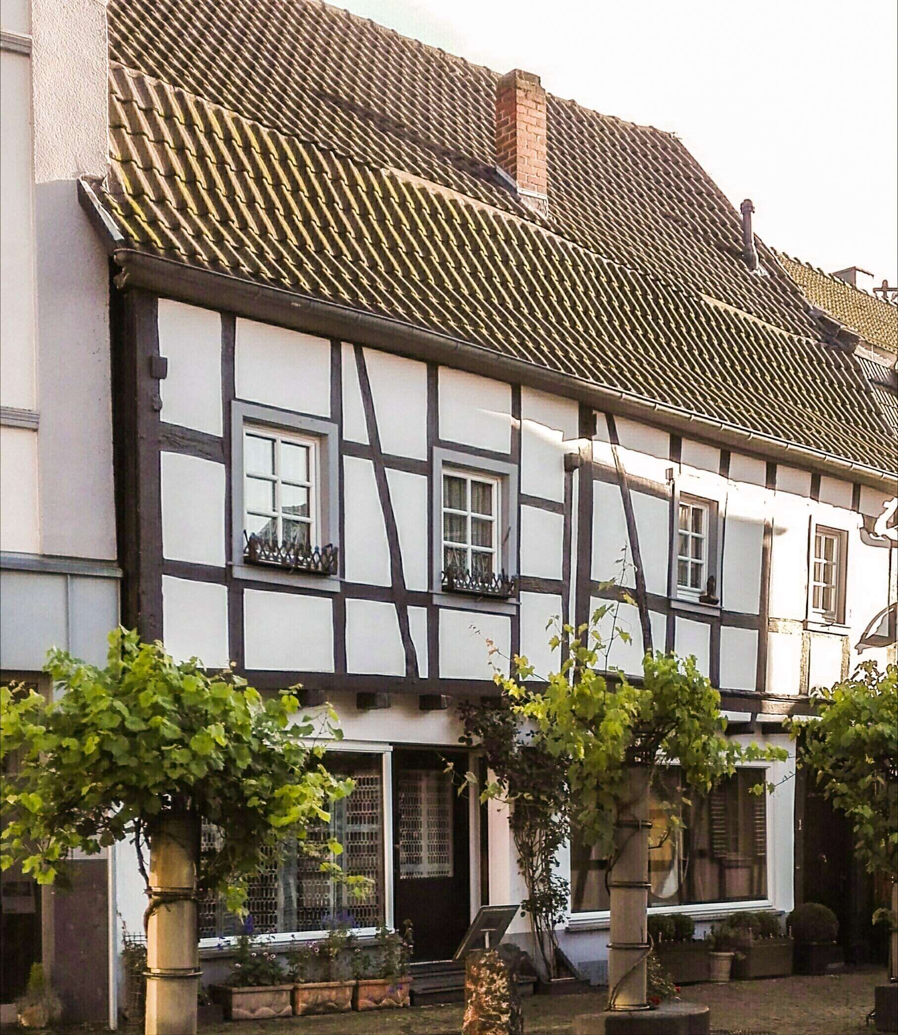 house I