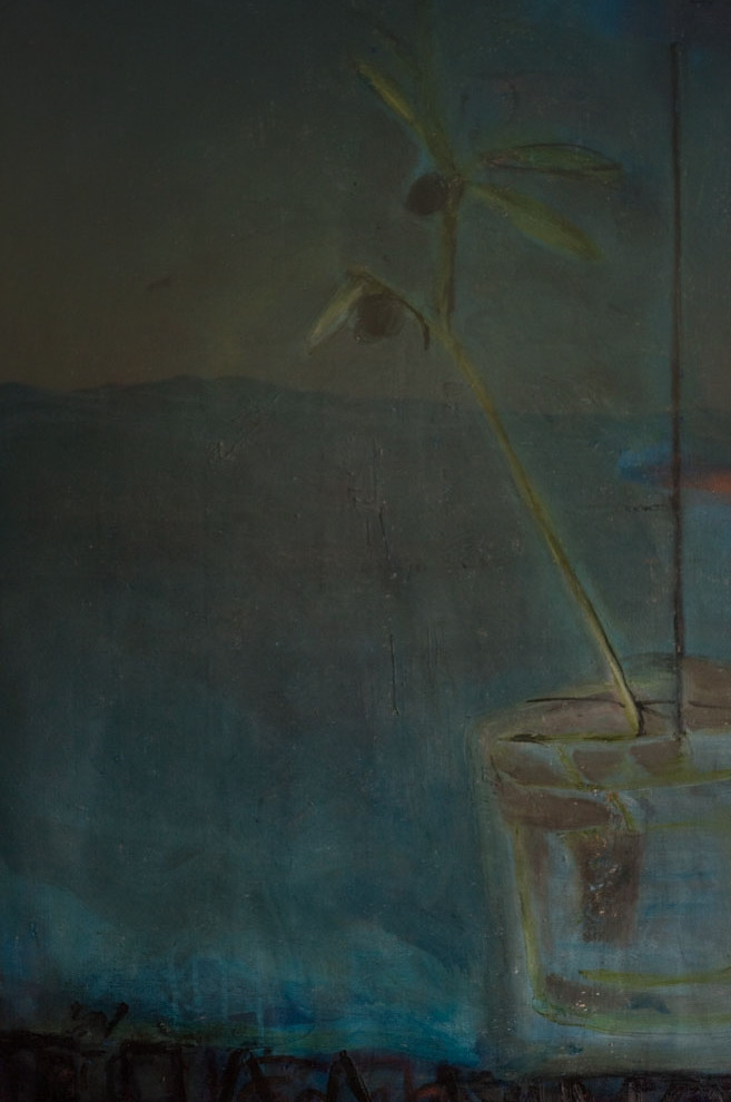 olive tree